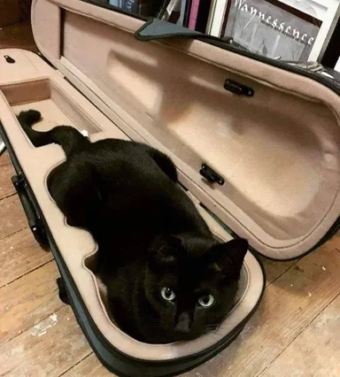 Som lepší než akýkoľvek nástroj. A viem kričať aj hlasnejšie