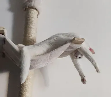 Takto vyzerá úplné uvoľnenie.