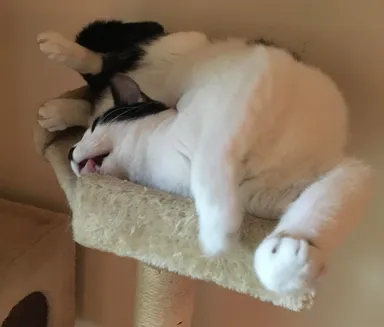 Nevyzerá to pohodlne, ale ona si myslí inak