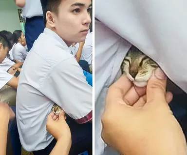 Malé prekvapenie pod pazuchou