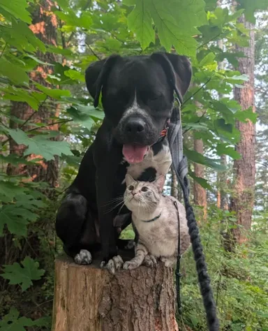 «Najlepší priatelia sa spolu vydávajú na lov dobrodružstiev»