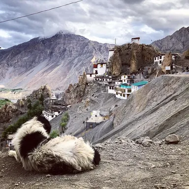Cesty štátu Himáčalpradéš, India