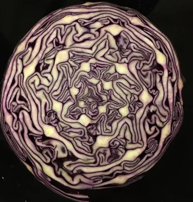 Červená hlávková kapusta, rozrezaná napoly