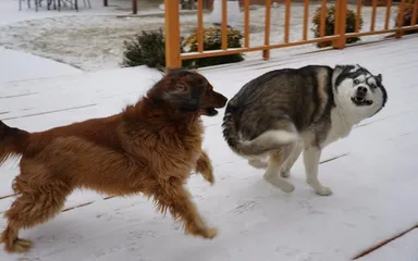 Fotografie zo série „sekundu predtým“, pri pohľade na ktoré máte chuť zakričať: „Pozor!“