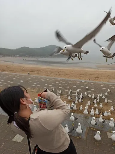 Takto to dopadne, keď otvoríte pochúťku pri čajkách