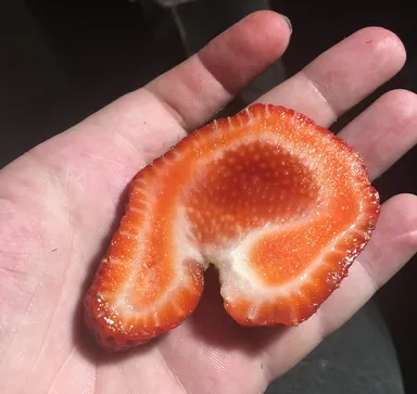 «Rozrezala som napoly túto jahodu»