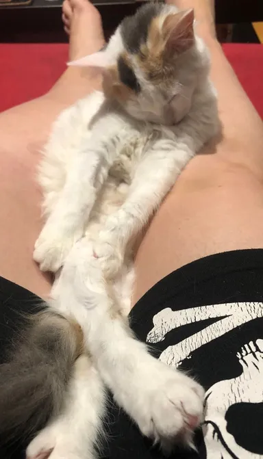 Aká elegantná dáma!