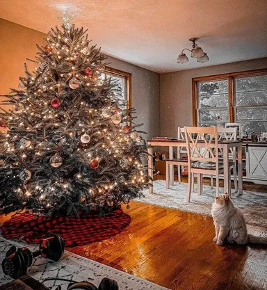 „Prvýkrát som vyzdobil stromček v mojom prvom dome“