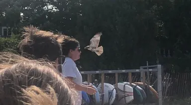 Dúfame, že na tejto fotografii nikto neprišiel k úrazu