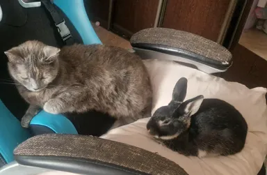 «Konečne zaspali vedľa seba»