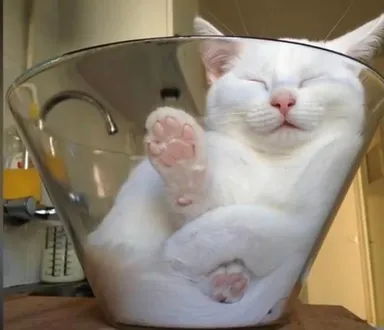 «Toto je najdôležitejšia prísada do môjho jedla»