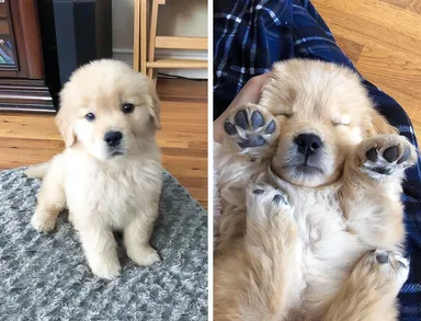 Tucker mal nabitý deň, preto zaspal skôr než zvyčajne