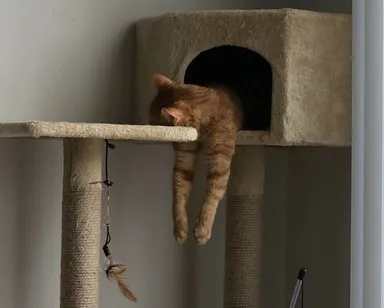 Keď už niet viac síl na behanie.