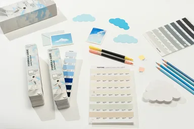 Čo je „farba roka“ a ako sa vyberá?