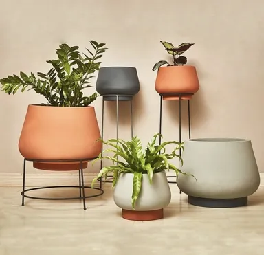 Pre fanúšika izbových rastlín