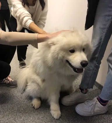 «Máme tu SITUÁCIU v kancelárii: práca stojí»