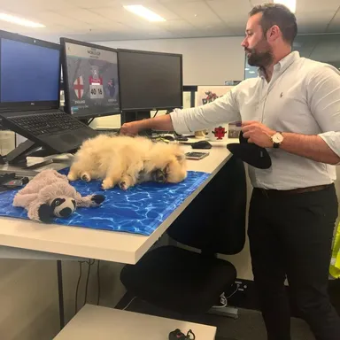 «Istý čas som musel brať so sebou do práce psa. Za deň sa tak unavil, že často zaspal takto, a odvtedy prebiehali stretnutia veľmi potichu»