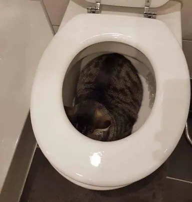 Keď si chcel trochu súkromia, ale aj tu ťa vyrušili