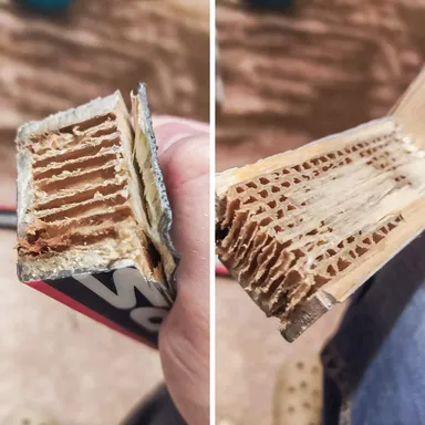 «Ak by náhodou niekoho (no napríklad mňa) zaujímalo, ako vyzerá v reze plastová lyža, vyzerá presne takto»