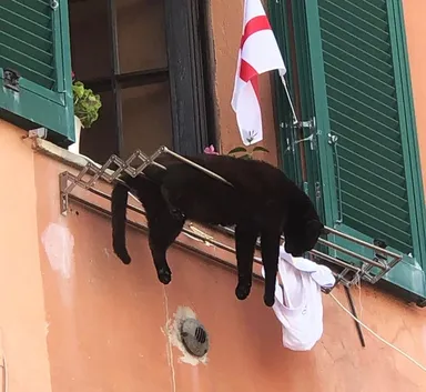 Mimochodom, rovnako aj tento chlpáč.