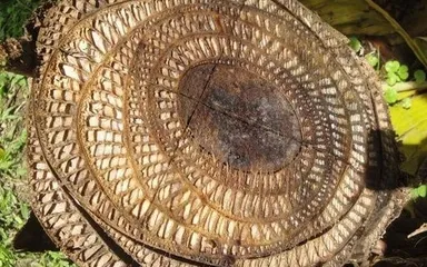 Veci, do vnútra ktorých nazrel len málokto, a vy budete môcť