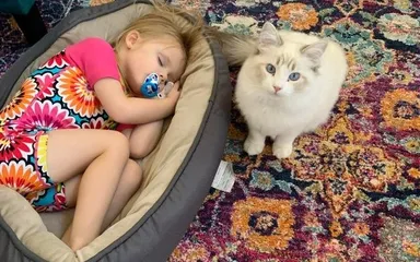 7 zvierat, ktorým pripadol nie majiteľ, ale hotová pohroma