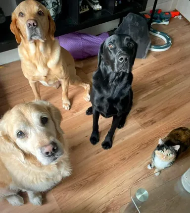 «Udrela som sa a teraz poriadne nevládzem chodiť. Dobre, že mám štyroch ustarostených zdravotníkov»