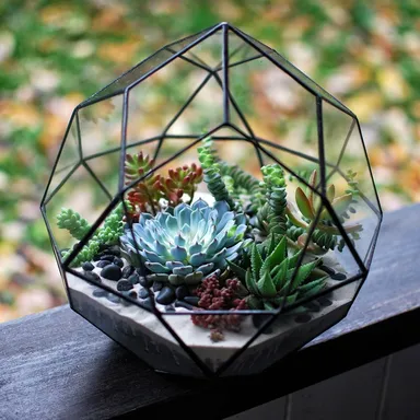 Výhody a nevýhody florárií