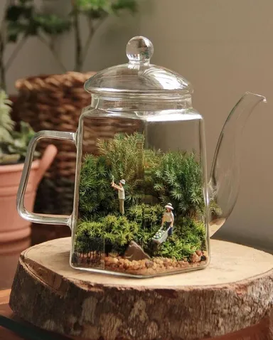 Aké druhy florárií existujú