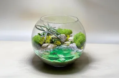 Čo je to florárium