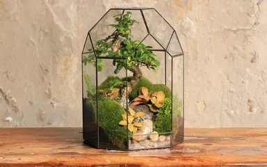 Florárium — očarujúca mini záhrada