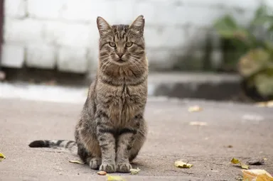 Upierajú pohľad tam, kde „nič nie je“