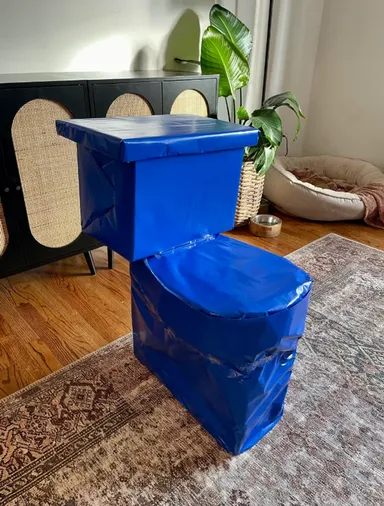 „Zabalila som darček pre syna. Samozrejme, že to nie je záchod — je to konzola!“